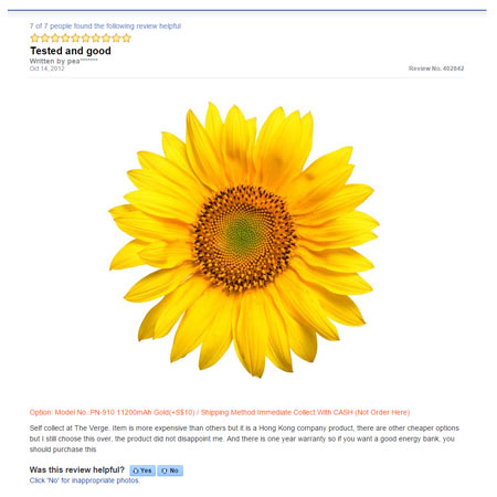 Totally irrelevant sunflower image uploaded for a powerbank review